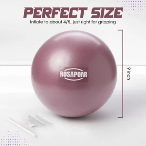 Small Exercise Ball 9 Inch Mini Ball for Core Workout