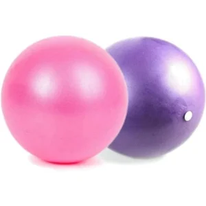 Mini Exercise Barre Ball
